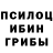Псилоцибиновые грибы Psilocybe ledzeppelin7147
